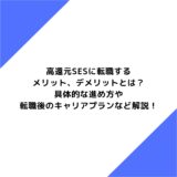 高還元SESに転職するメリット、デメリットとは？具体的な進め方や転職後のキャリアプランなど解説！